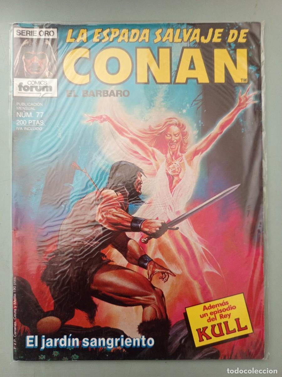 C&oacute;mics: La espada salvaje de Conan 77 Forum
