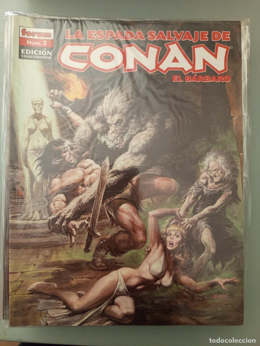 C&oacute;mics: La espada salvaje de Conan 2 edici&oacute;n coleccionistasForum