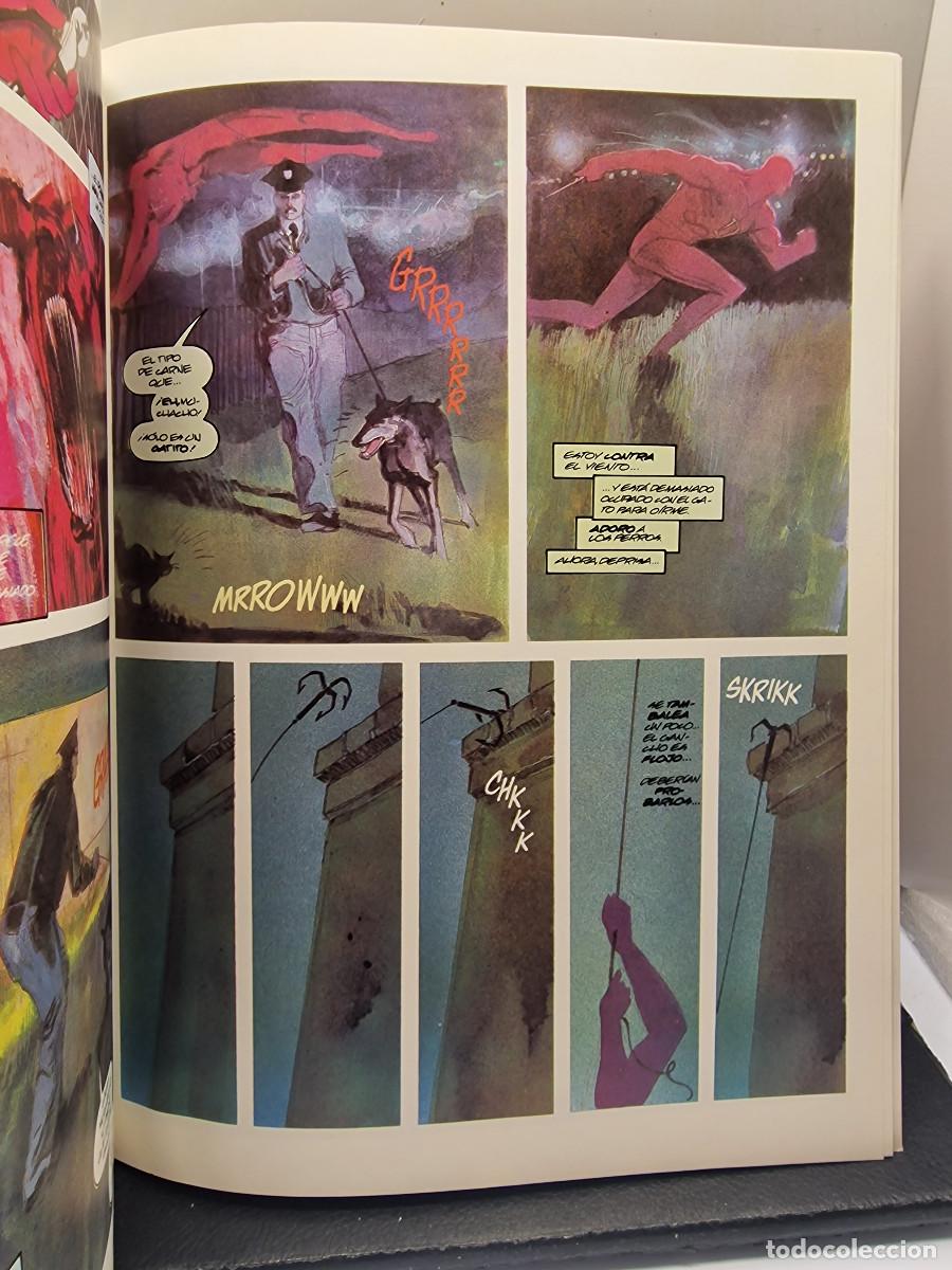 C&oacute;mics: DAREDEVIL - LOVE AND WAR - FRANK MILLER - FORUM N&ordm; 8 - Foto 4