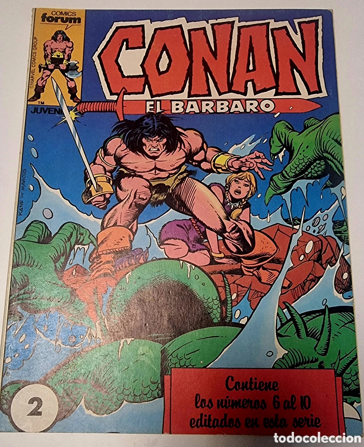 C&oacute;mics: Libros Conan el barbaro