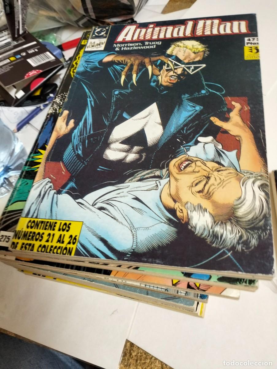 C&oacute;mics: ANIMAL MAN ....TOMO 5 del 20 al 26 ( RETAPADO 5. N&Uacute;MEROS )... ZINCO