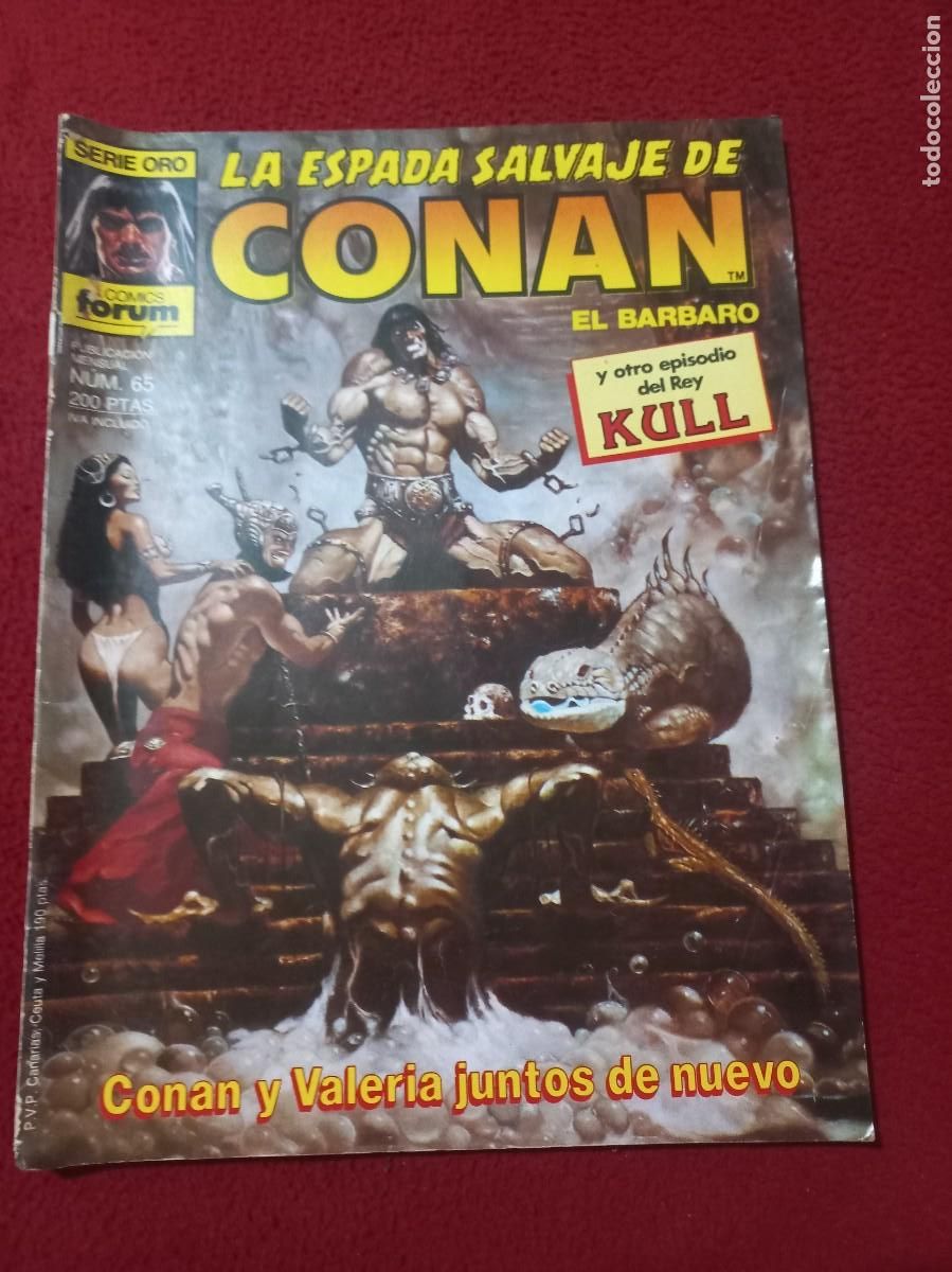 C&oacute;mics: LA ESPADA SALVAJE DE CONAN 65 - REVISTA