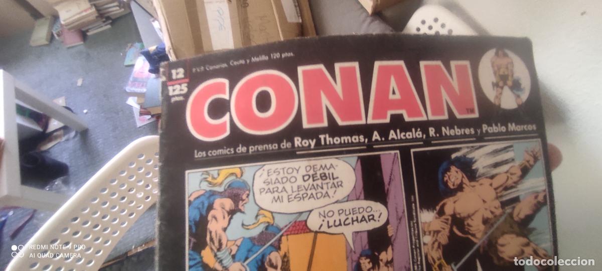 C&oacute;mics: CONAN LAS DAILY STRIP COMICS DE ROY THOMAS Y ERNIE CHAN 12