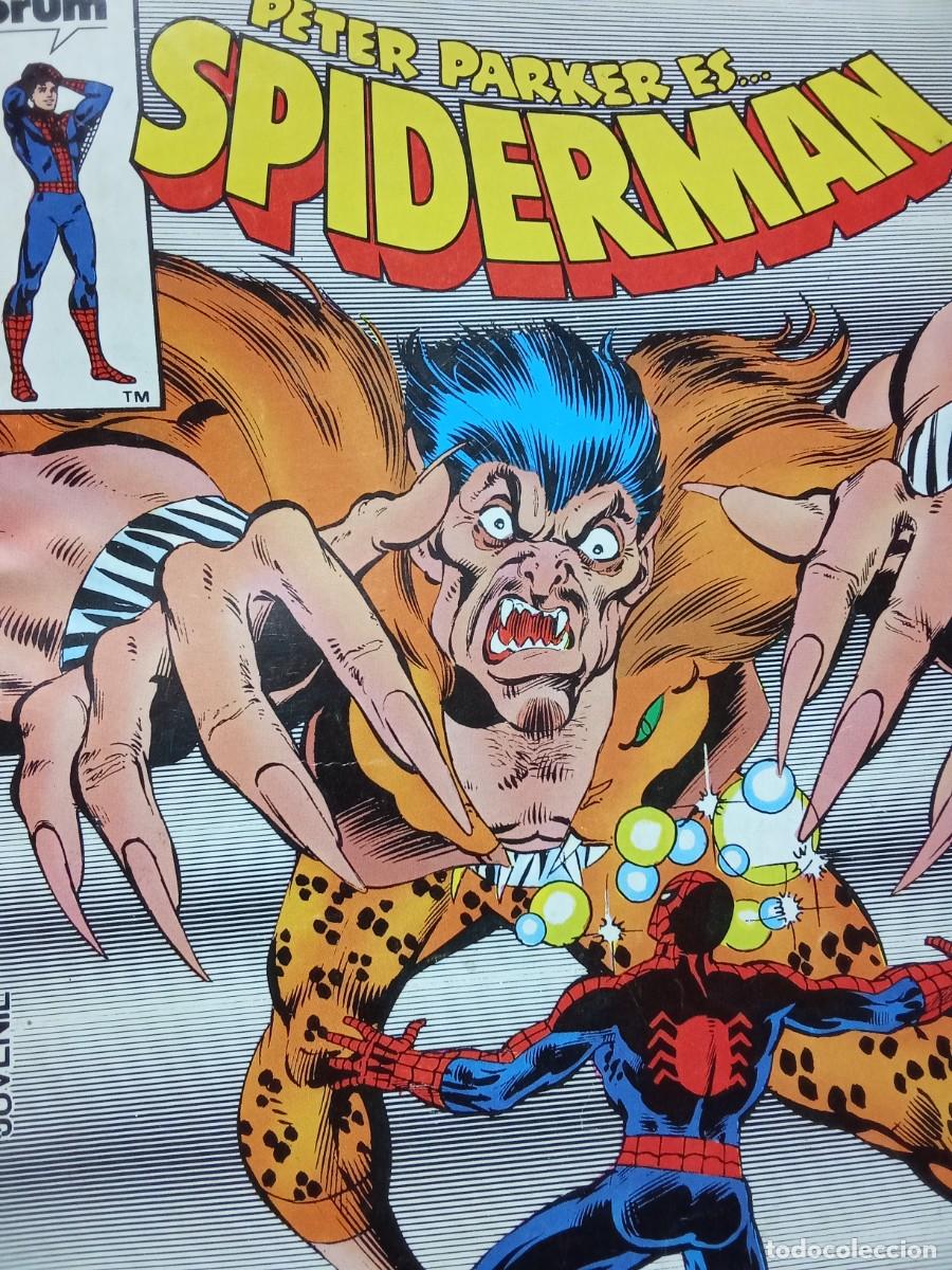 C&oacute;mics: SPIDERMAN VOL.1 N.44 PETER PARKER ES : EL CORAZ&Oacute;N DEL CAZADOR SOLITARIO ( 1983/1994 )