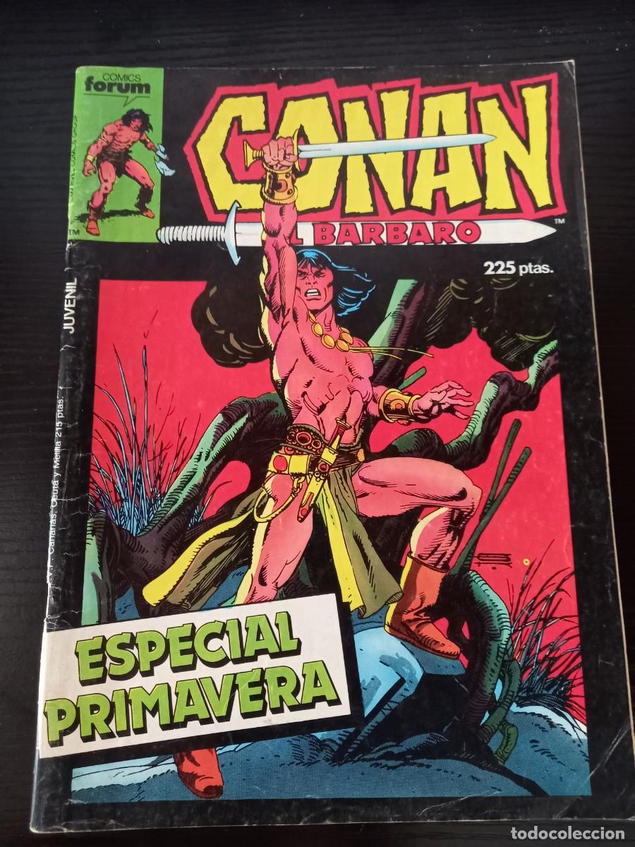 C&oacute;mics: Conan el B&aacute;rbaro Especial Primavera - Foto 1