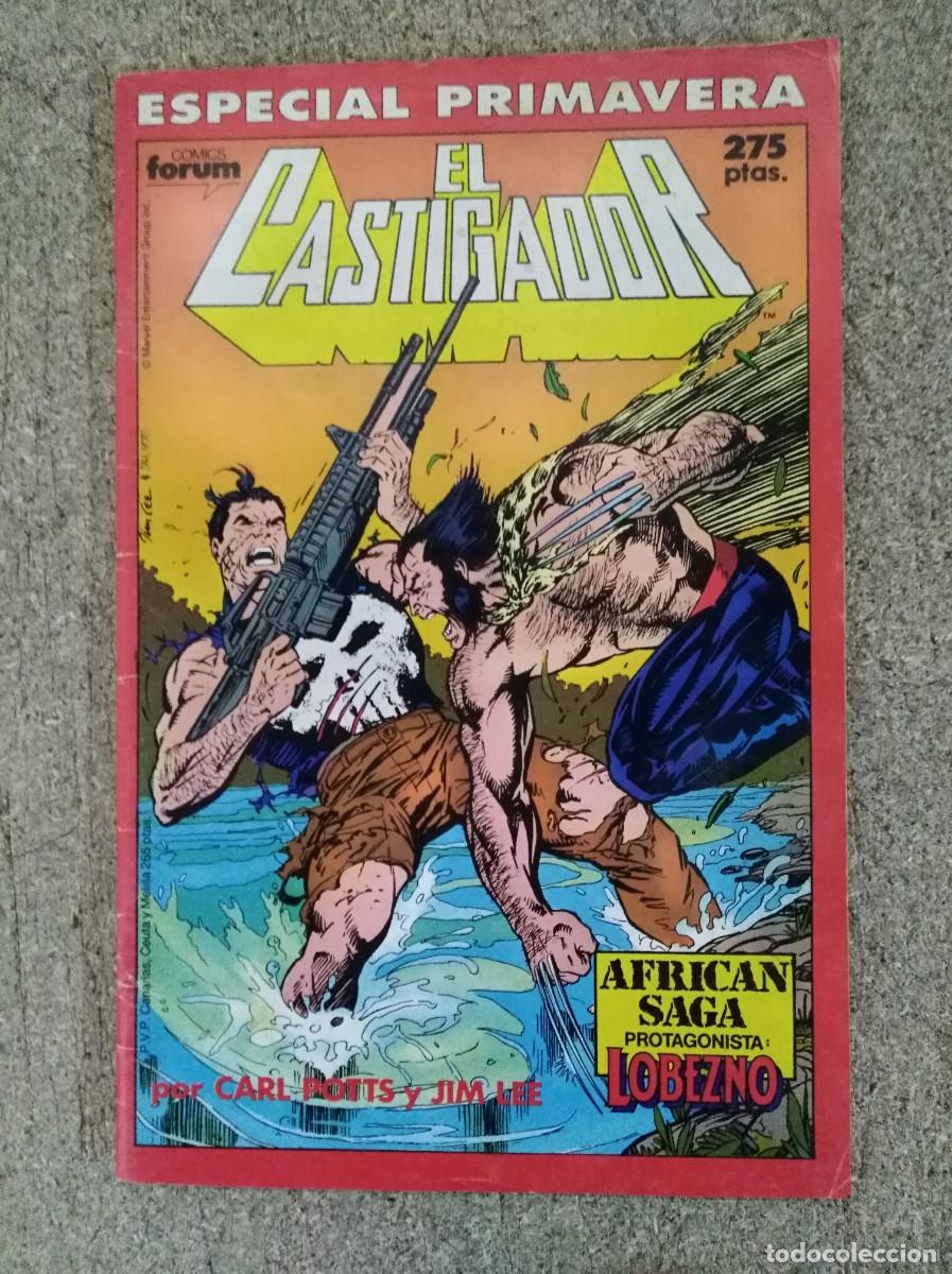 C&oacute;mics: El Castigador Especial Primavera 1990.Marvel.Forum