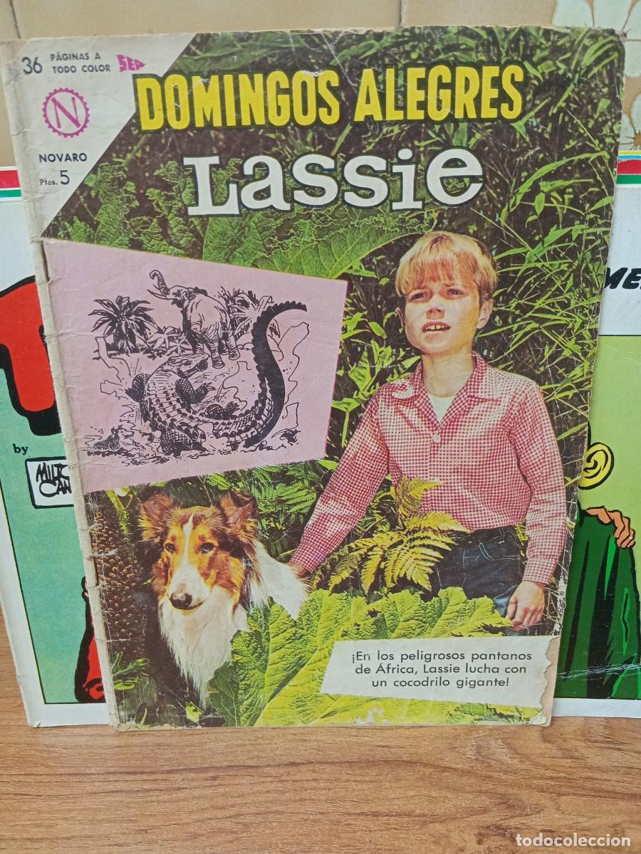 C&oacute;mics: DOMINGOS ALEGRES- LASSIE - N&ordm; 508 - NOVARO - Foto 1