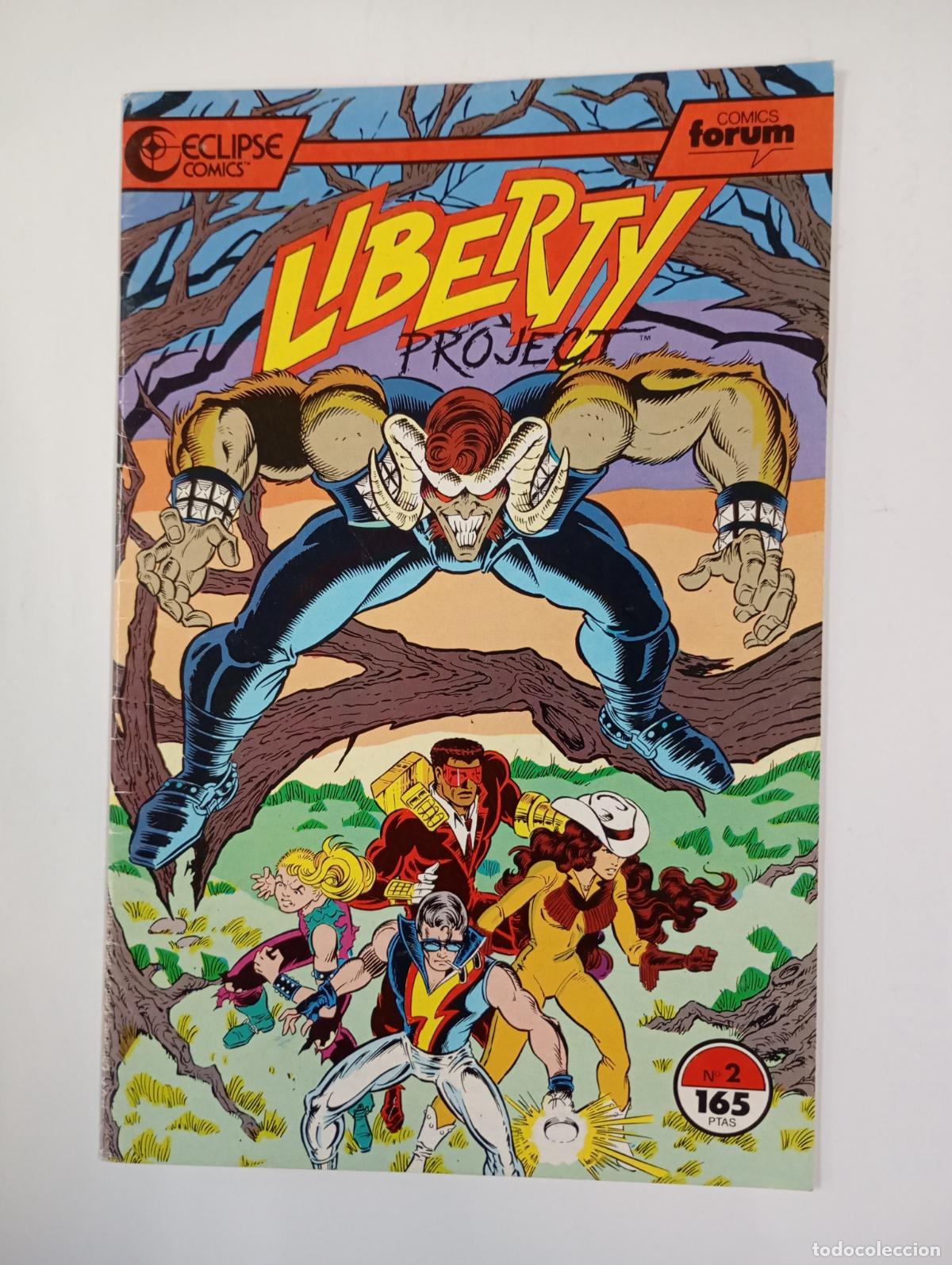 C&oacute;mics: LIBERTY PROJECT N&ordm; 2. TDKR93 - Foto 1