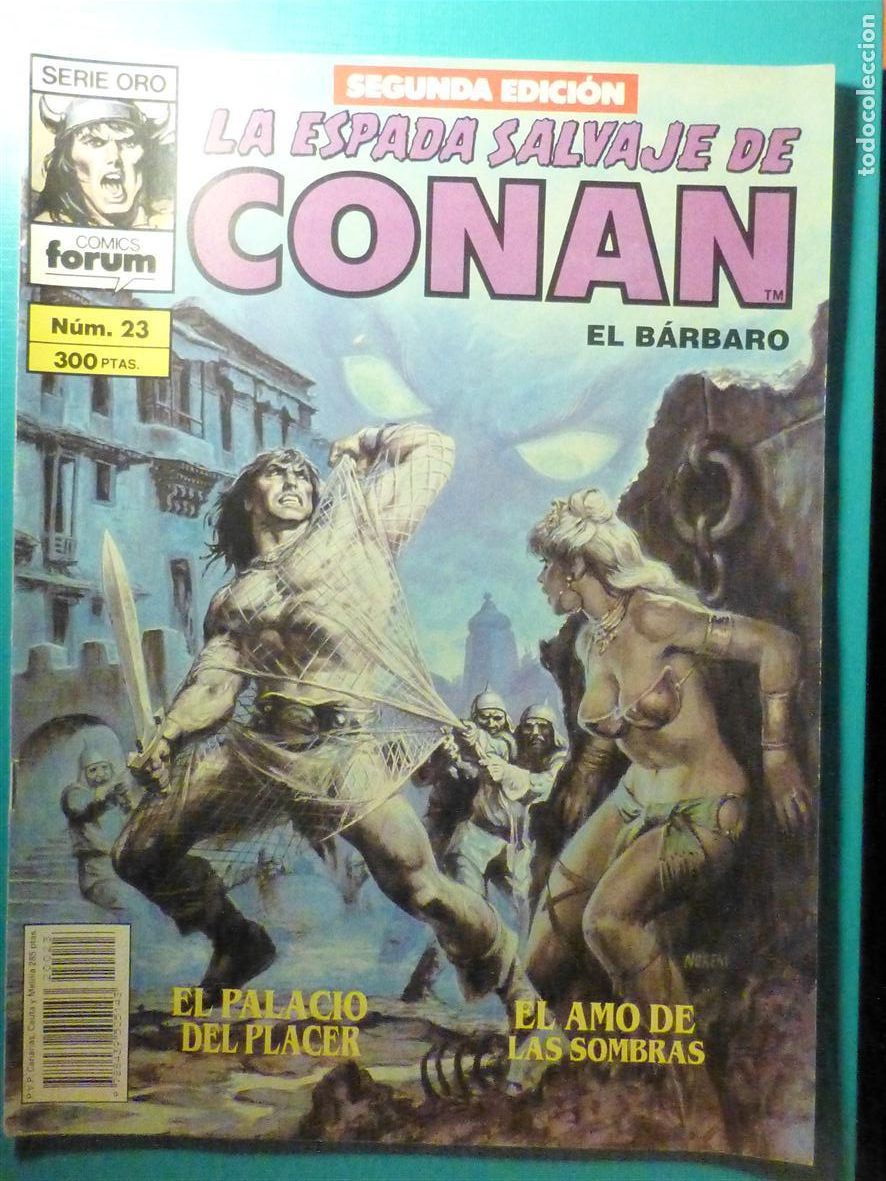 C&oacute;mics: Comic - La Espada Salvaje de Conan El B&aacute;rbaro - N&ordm; 23 - Segunda Edici&oacute;n - Comics Forum Oro