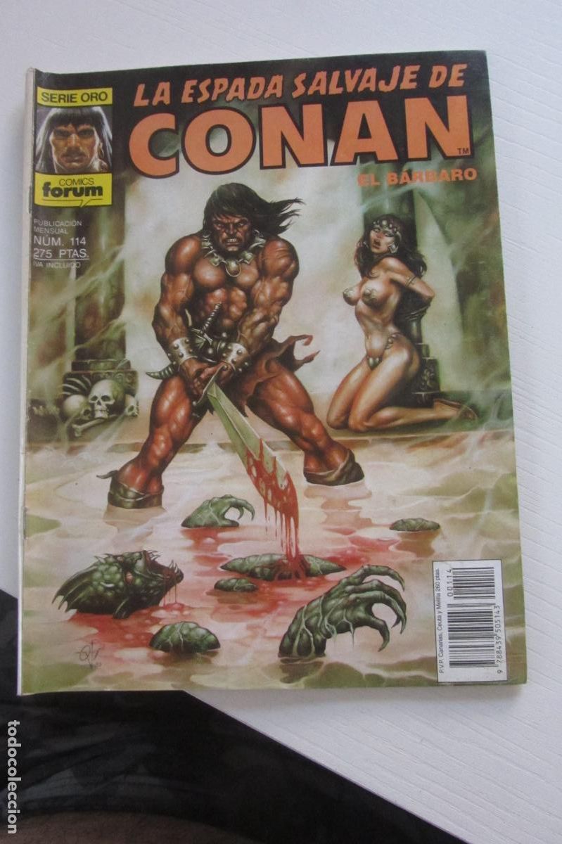 C&oacute;mics: LA ESPADA SALVAJE DE CONAN VOL. 1 1&ordf; EDICION N&ordm; 114 FORUM ARX205