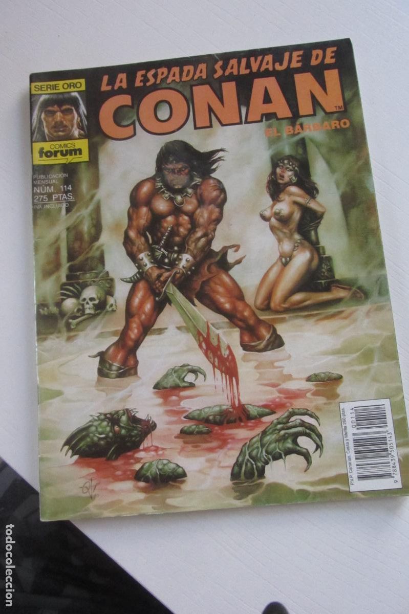 C&oacute;mics: LA ESPADA SALVAJE DE CONAN VOL. 1 1&ordf; EDICION N&ordm; 114 FORUM ARX207