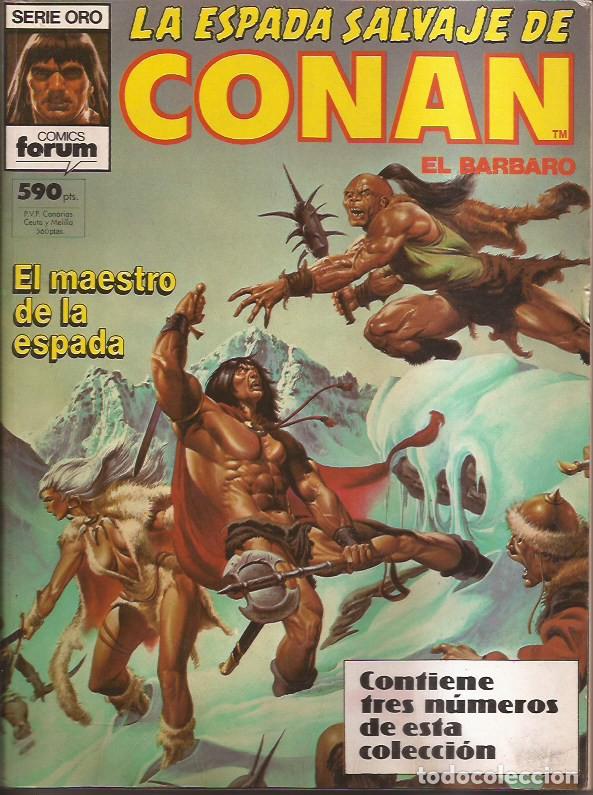 C&oacute;mics: C&Oacute;MIC ESPADA SALVAJE DE CONAN EL B&Aacute;RBARO TOMO N&ordm; 68 69 y 70 EL MAESTRO DE LA ESPADA FORUM