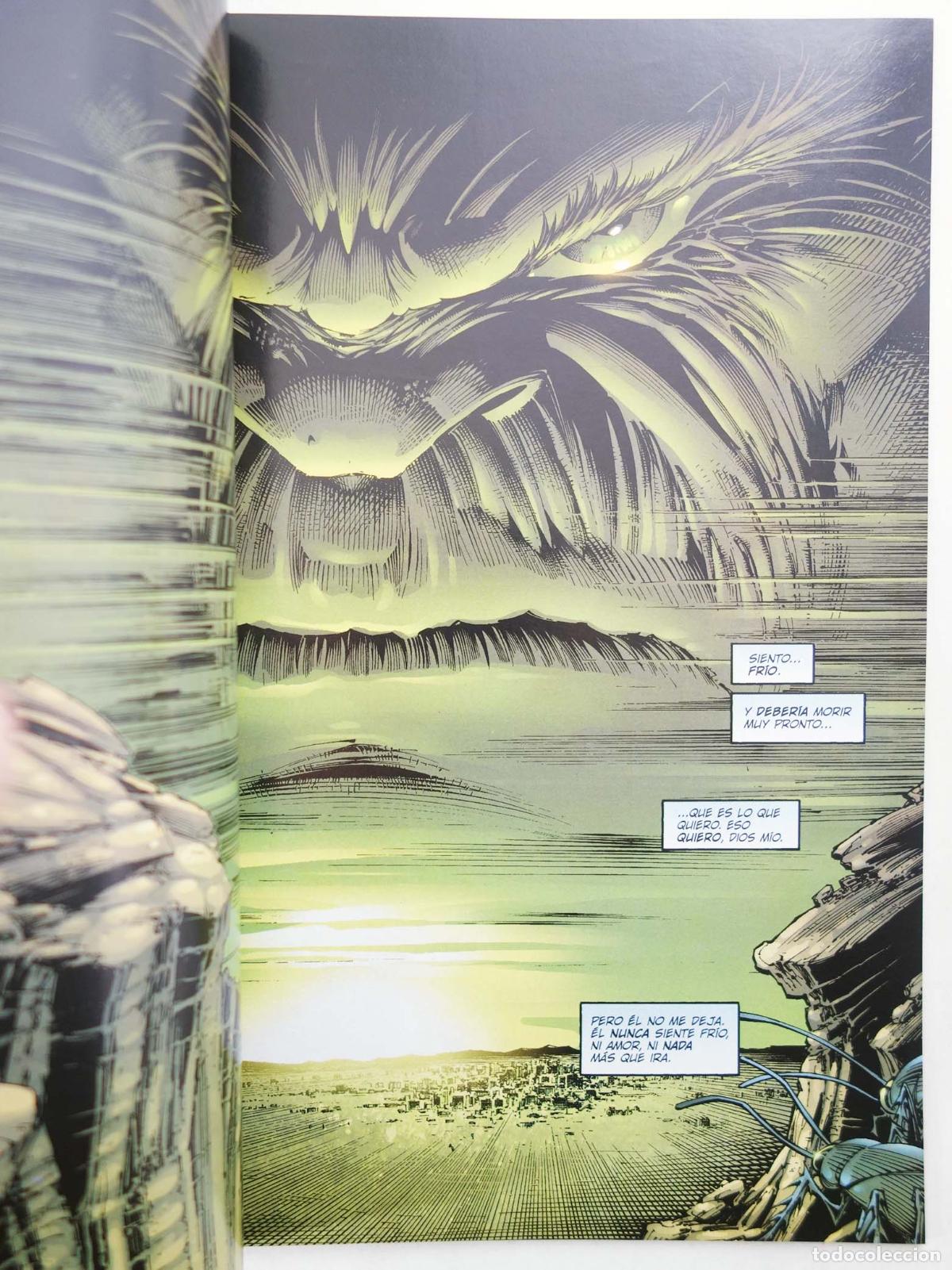 C&oacute;mics: HULK: FIN O PRINCIPIO (Peter David) Forum, 2003 - Foto 4