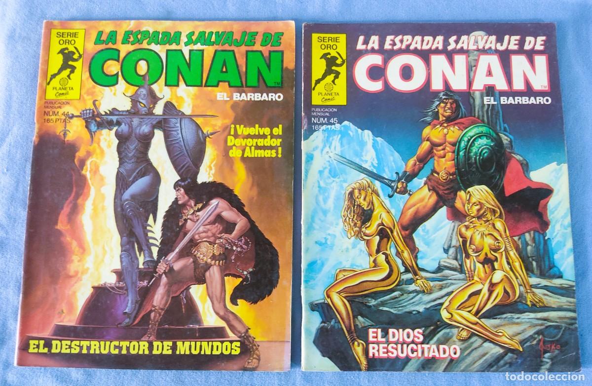 C&oacute;mics: 12 COMICS DE CONAN EL BARBARO LA ESPADA SALVAJE SERIE ORO PLANETA COMICS - Foto 6