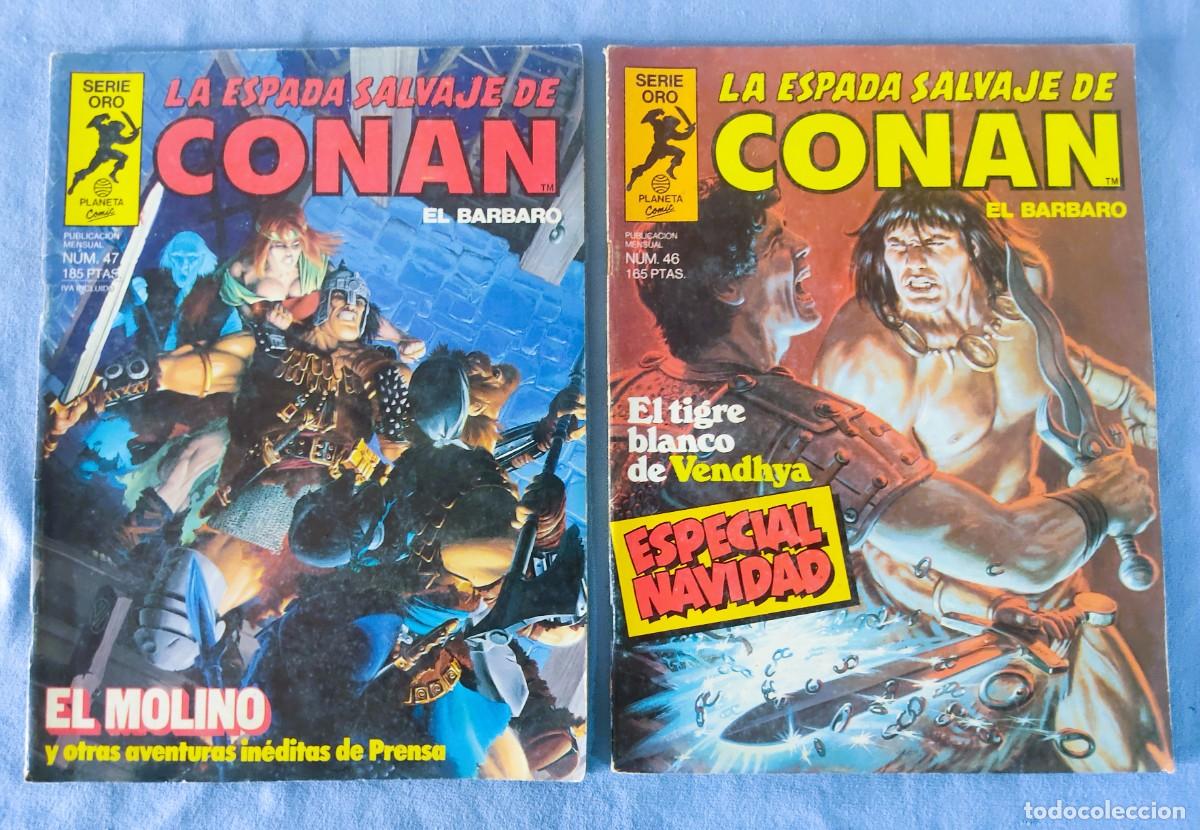 C&oacute;mics: 12 COMICS DE CONAN EL BARBARO LA ESPADA SALVAJE SERIE ORO PLANETA COMICS - Foto 7