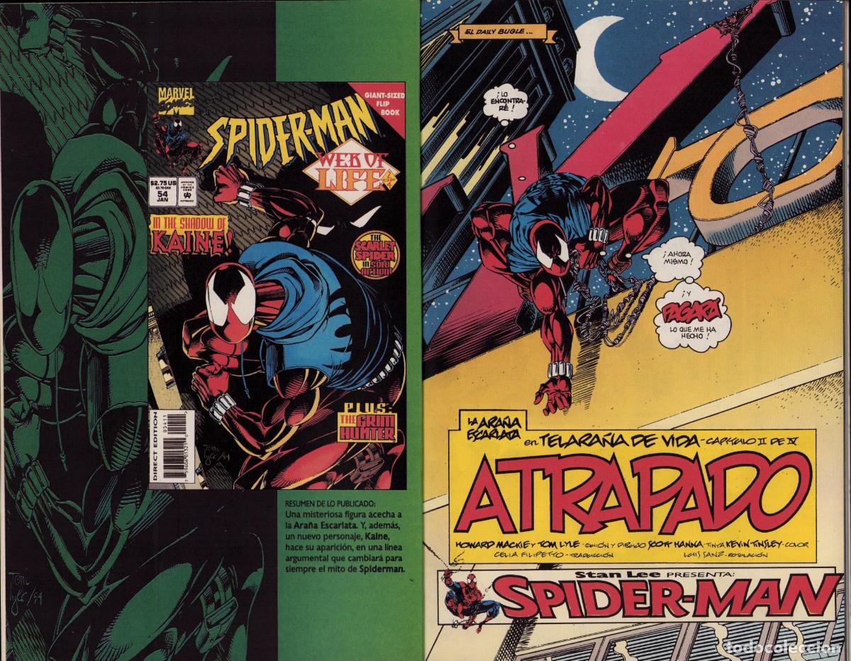 C&oacute;mics: Spiderman Vol. 2 n&ordm; 9 Comics Forum 1995 - Foto 6