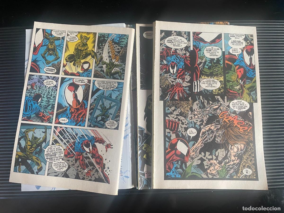 C&oacute;mics: Spiderman Vol. 2 n&ordm; 11 Comics Forum 1995 - Foto 4