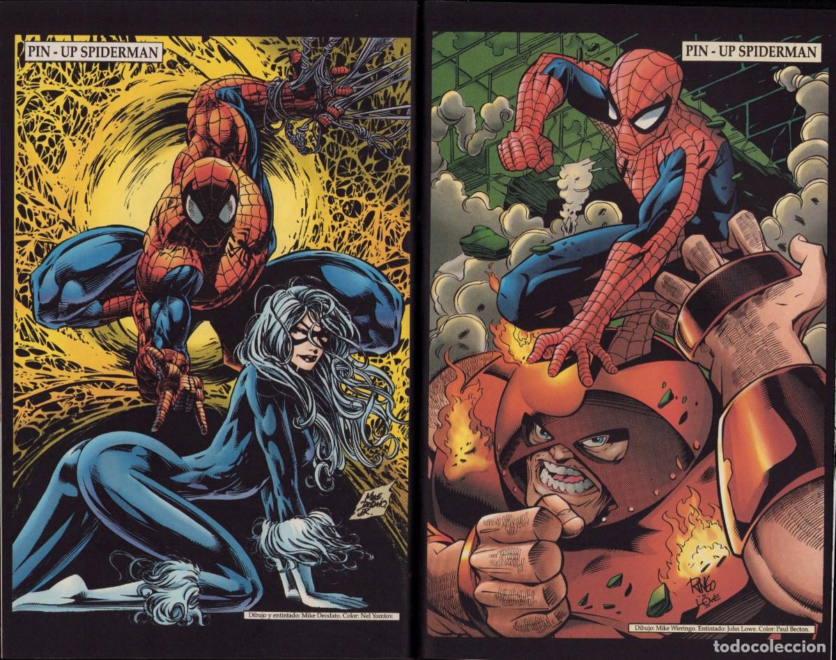 C&oacute;mics: Spiderman Vol. 2 n&ordm; 12 Comics Forum 1995 - Foto 17
