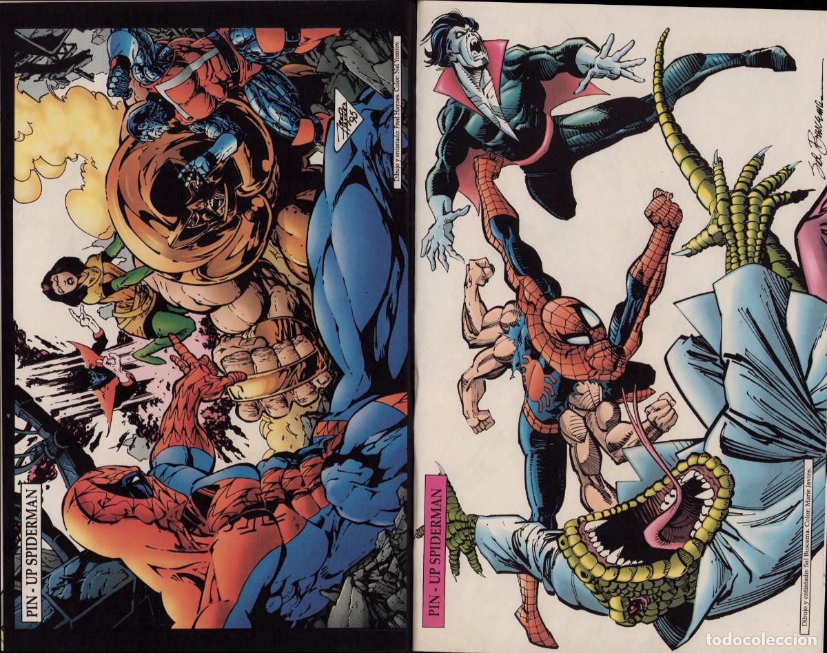 C&oacute;mics: Spiderman Vol. 2 n&ordm; 12 Comics Forum 1995 - Foto 19