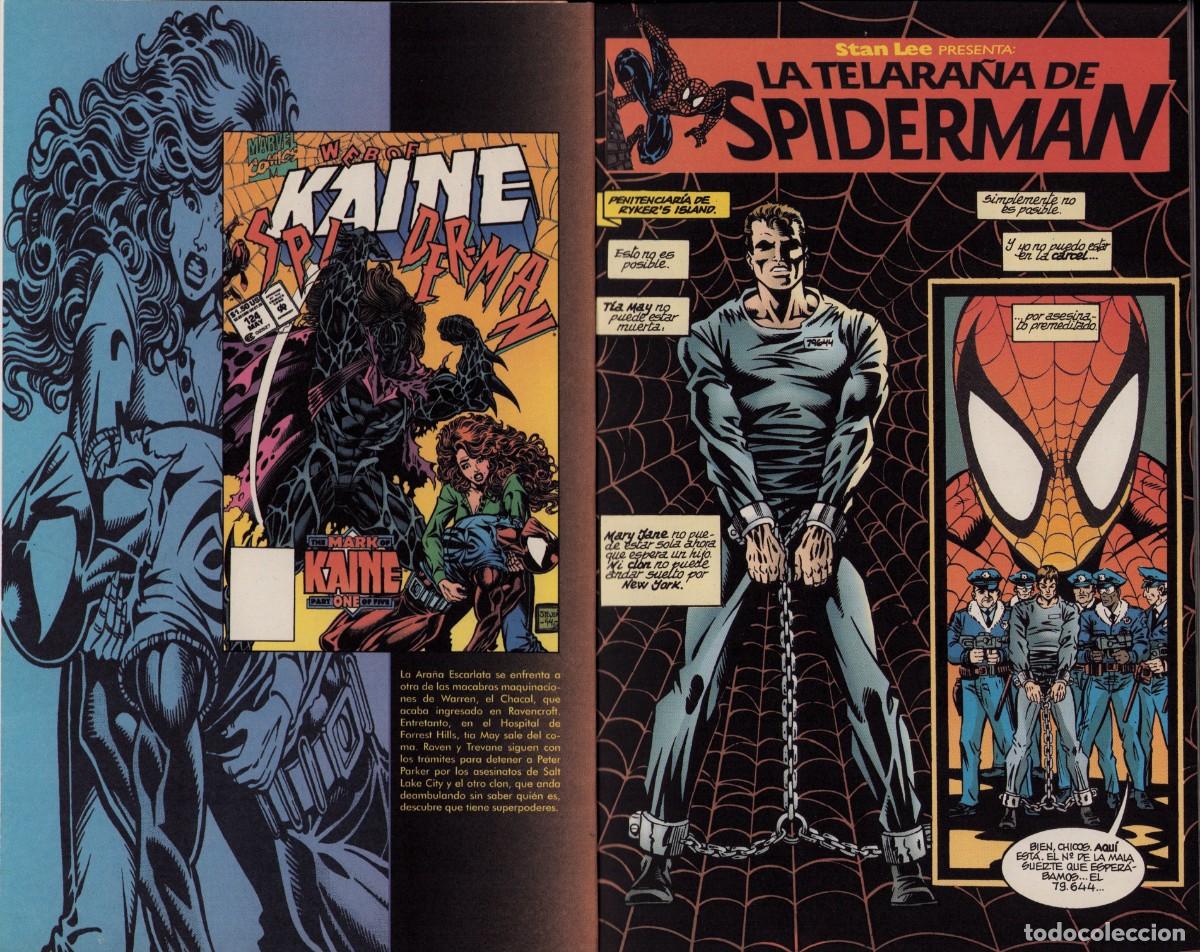 C&oacute;mics: Spiderman Vol. 2 n&ordm; 13 Comics Forum 1996 - Foto 4