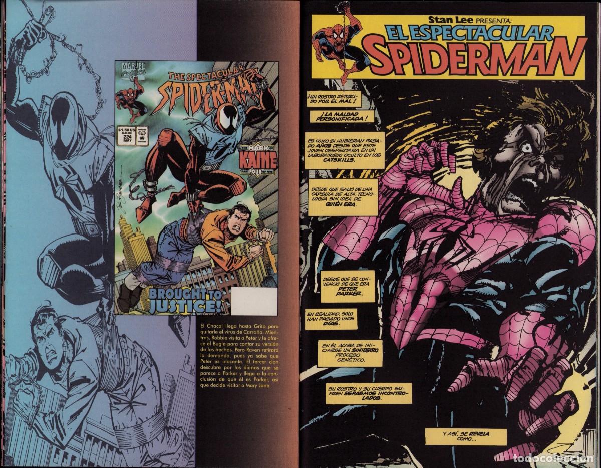 C&oacute;mics: Spiderman Vol. 2 n&ordm; 13 Comics Forum 1996 - Foto 11