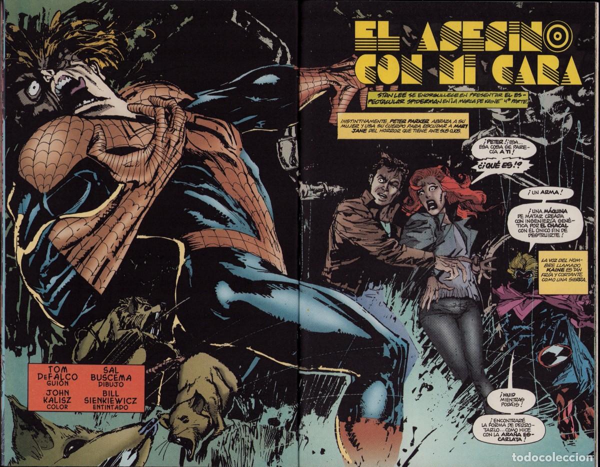 C&oacute;mics: Spiderman Vol. 2 n&ordm; 13 Comics Forum 1996 - Foto 12