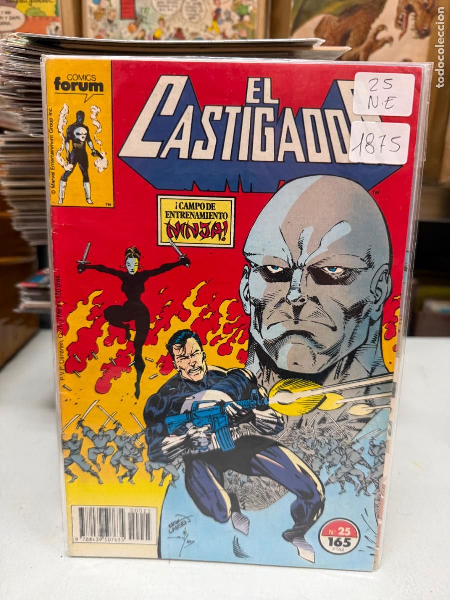 C&oacute;mics: EL CASTIGADOR EDITORIAL FORUM NUMERO 25 - Foto 1