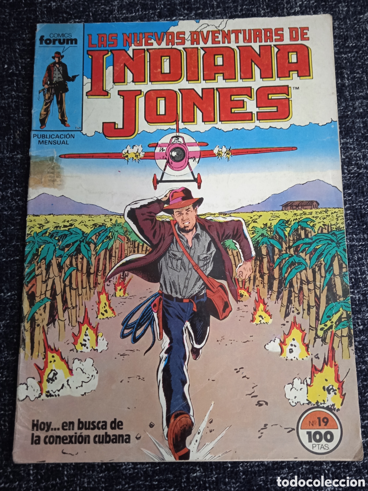 C&oacute;mics: LAS NUEVAS AVENTURAS DE INDIANA JONES N&ordm; 19 -EDITA FORUM -COLECCION DE 26 NUMEROS