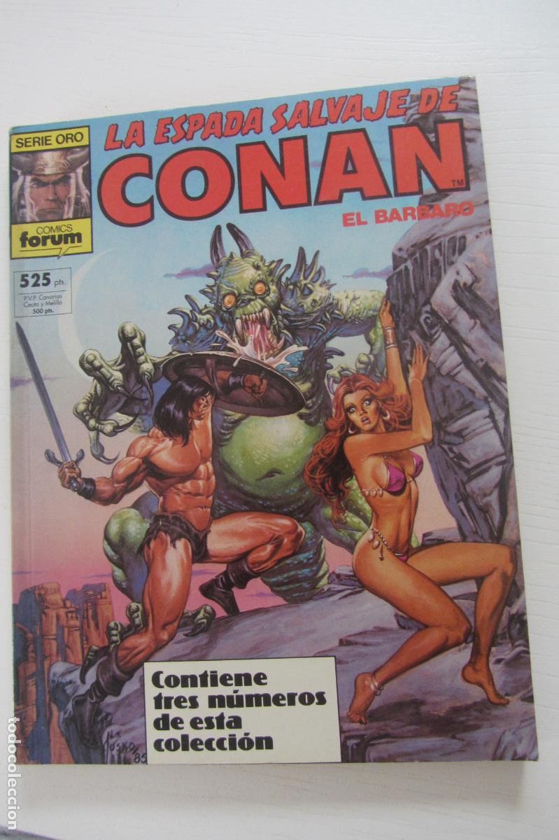C&oacute;mics: LA ESPADA SALVAJE DE CONAN N&Uacute;MEROS 56, 57 Y 58 - TOMO RETAPADO SERIE ORO FORUM BUEN ESTADO ARX379