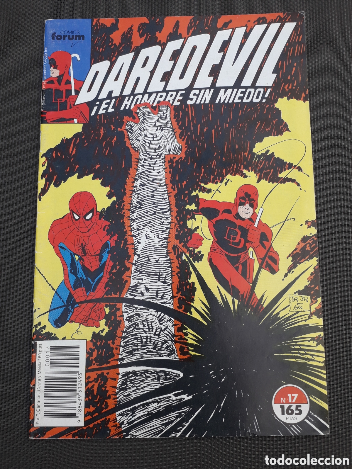 C&oacute;mics: DAREDEVIL VOLUMEN 2. N&Uacute;MERO 17.