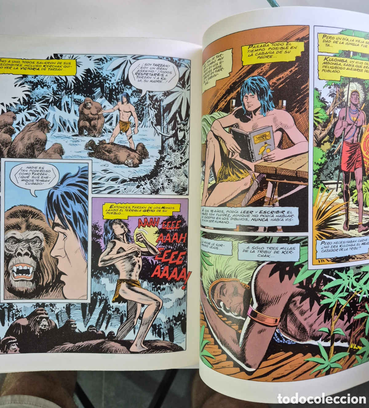 C&oacute;mics: TARZ&Aacute;N DE LOS MONOS - Foto 2