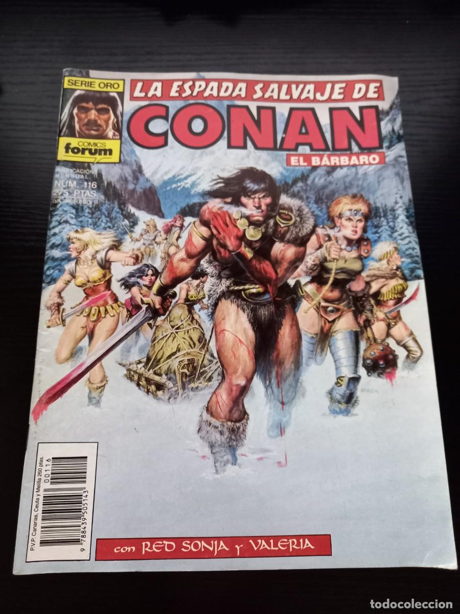 C&oacute;mics: La Espada Salvaje de Conan n&ordm; 116 (1&ordf; edici&oacute;n)
