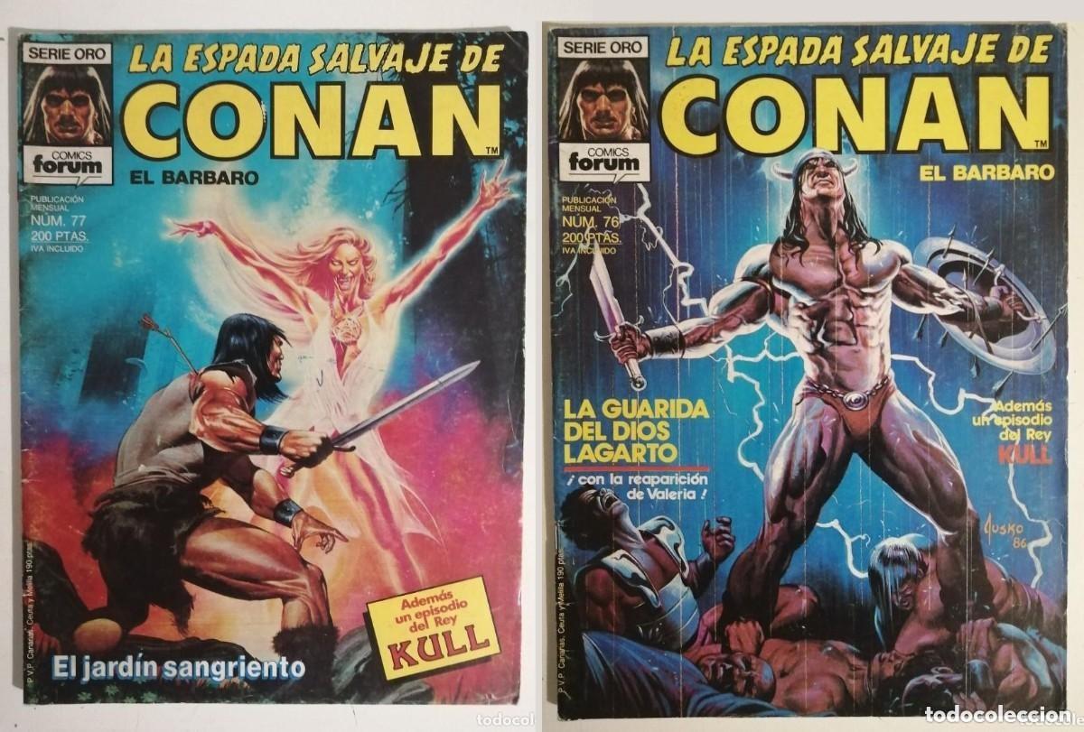 C&oacute;mics: 2 NUMEROS: 76, 77 - SERIE ORO. LA ESPADA SALVAJE CONAN EL B&Aacute;RBARO. FORUM 1987