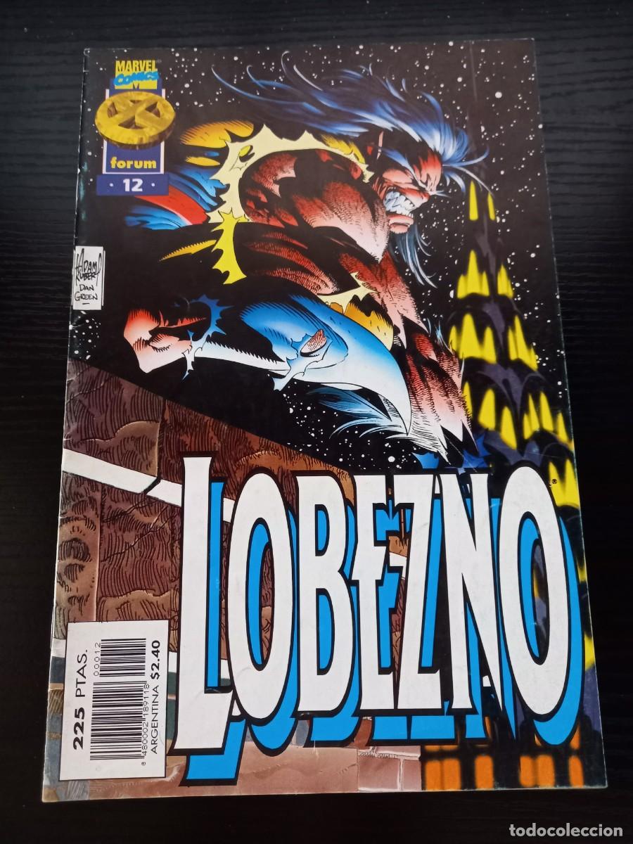 C&oacute;mics: Lobezno Vol 2 n&ordm; 12 (X-Men)