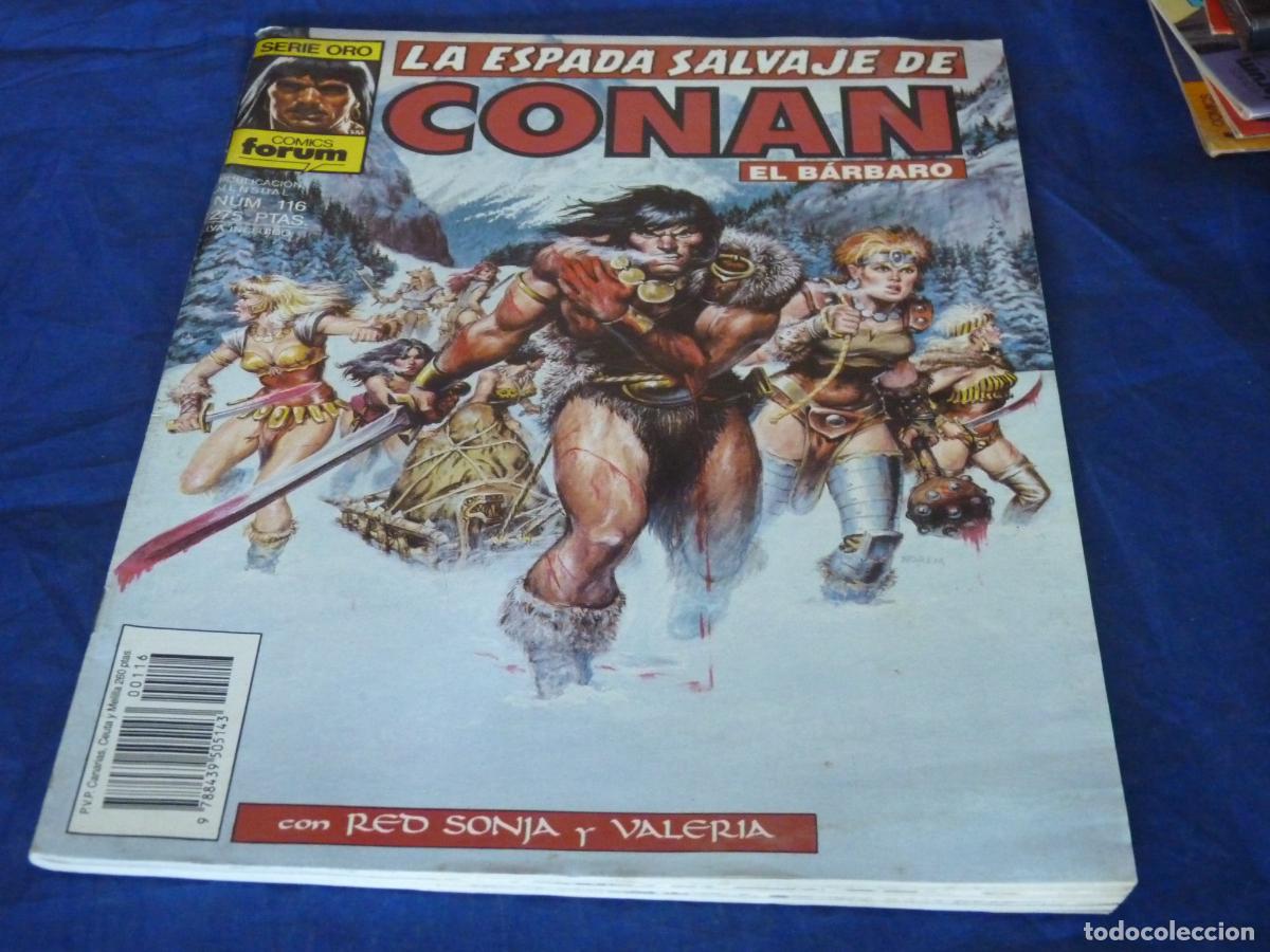 C&oacute;mics: LA ESPADA SALVAJE DE CONAN #116 OREFSLL