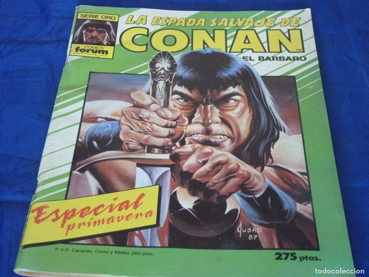 C&oacute;mics: LA ESPADA SALVAJE DE CONAN FORUM SERIE ORO ESPECIAL PRIMAVERA OREFSLL