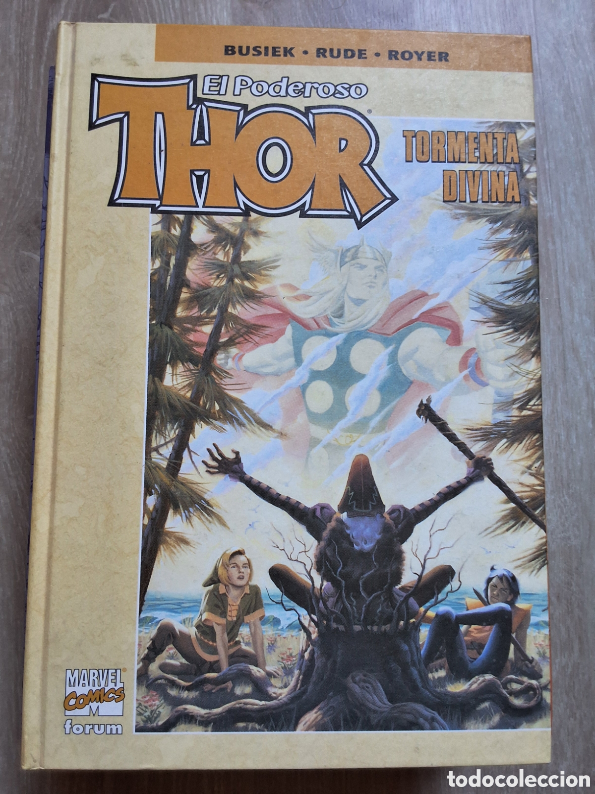 C&oacute;mics: Thor el poderoso comic tormenta divina a&ntilde;o 2003/3 edita forum