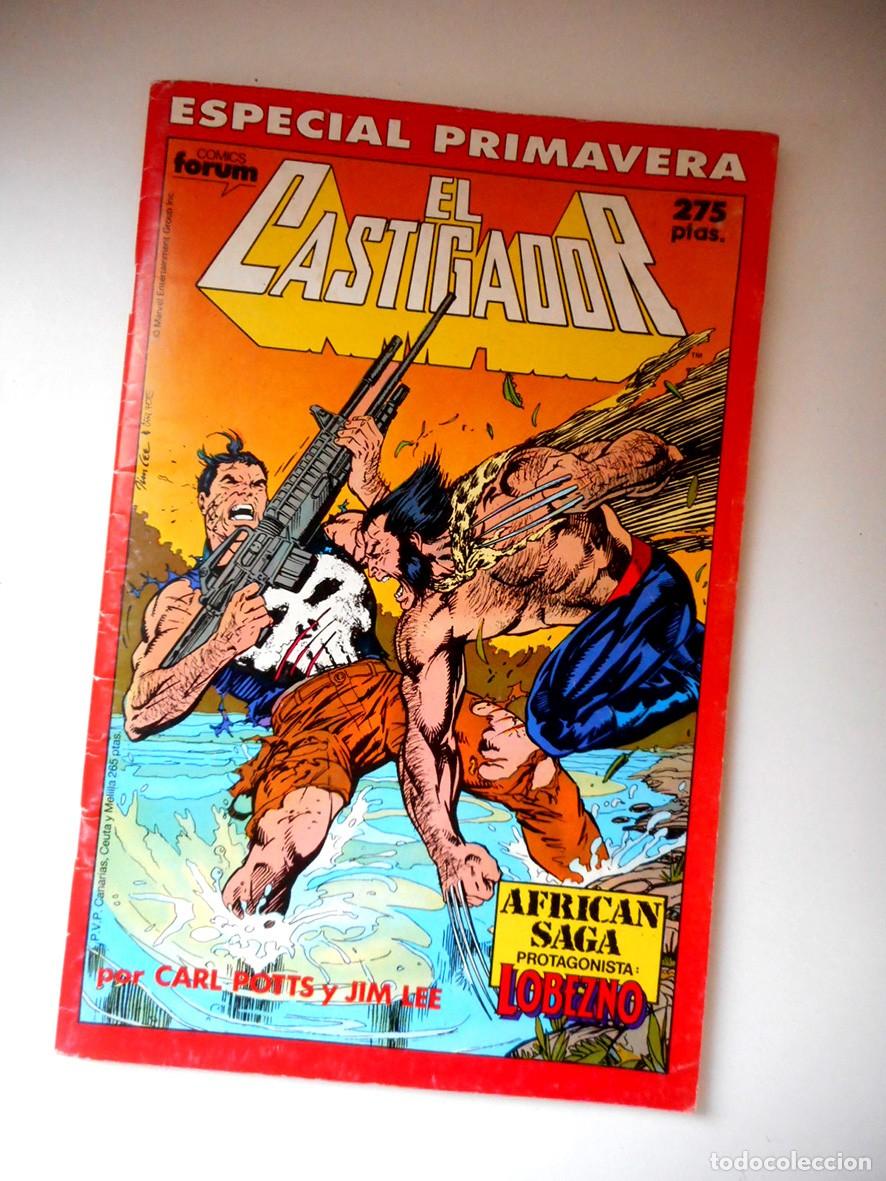 C&oacute;mics: EL CASTIGADOR ESPECIAL PRIMAVERA (FORUM- MARZO 1989) CARL POTTS - JIM LEE -INCLUYE P&Oacute;STER