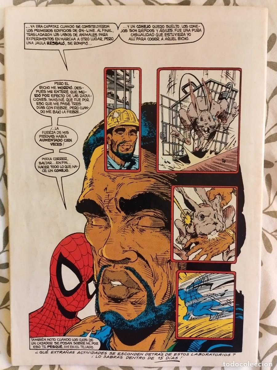 C&oacute;mics: SPIDERMAN Forum n&ordm; 191 - Foto 2