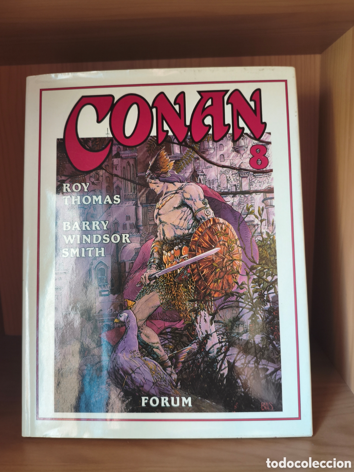 C&oacute;mics: Novelas gr&aacute;ficas Conan de Roy Thomas y Barry Windsor