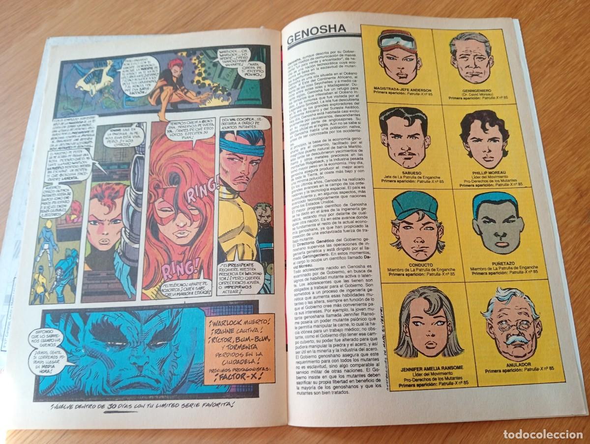 C&oacute;mics: LOTE CON LOS DOS PRIMEROS N&Uacute;MEROS DE PROYECTO EXTERMINIO (DE 9). GRAPA. FORUM. MARVEL. 1992. - Foto 11