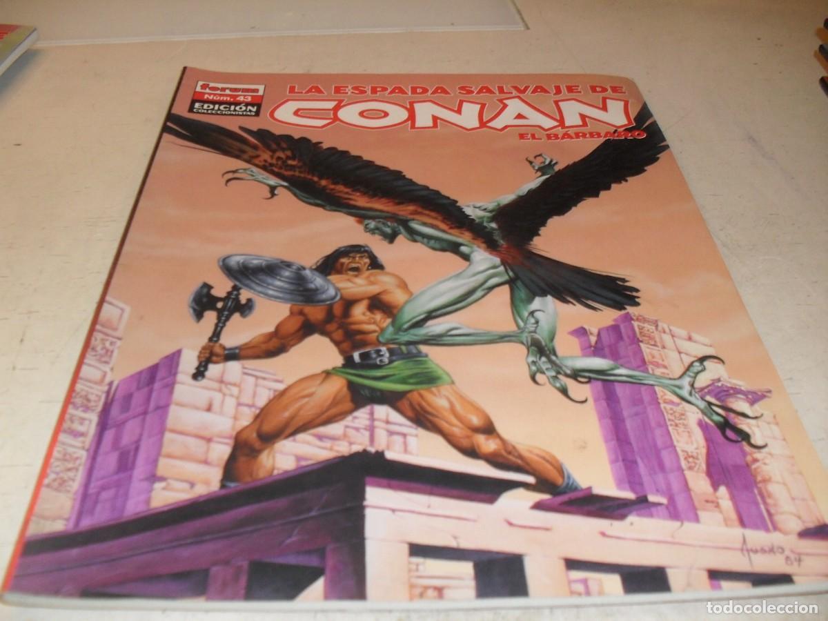 Comics: LA ESPADA SALVAJE DE CONAN N&ordm; 43,LAS GARRAS DEL PIGARDO,EDICION COLECCIONISTAS.FORUM,2005