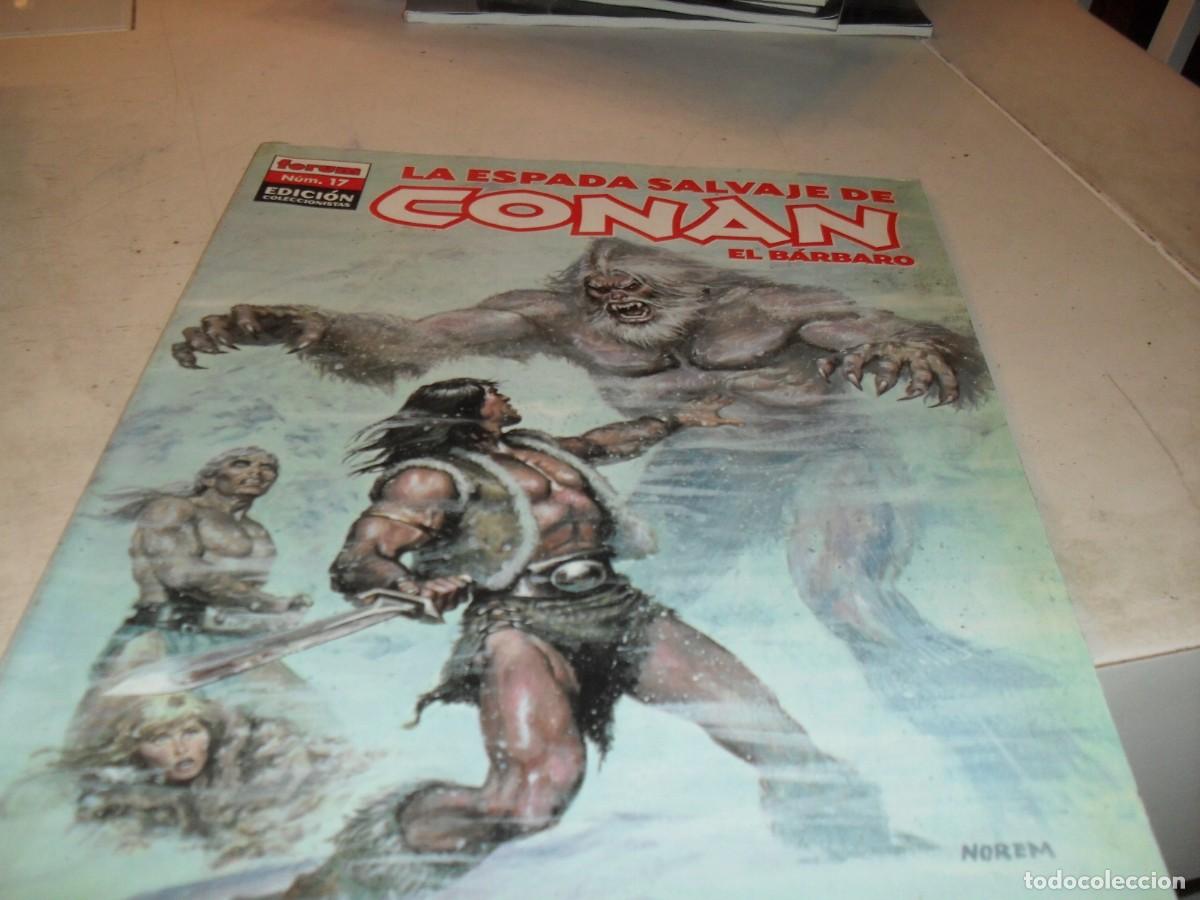 Comics: LA ESPADA SALVAJE DE CONAN N&ordm; 17,LOS DEMONIOS DE LA LLAMA,EDICION COLECCIONISTAS.FORUM,2005