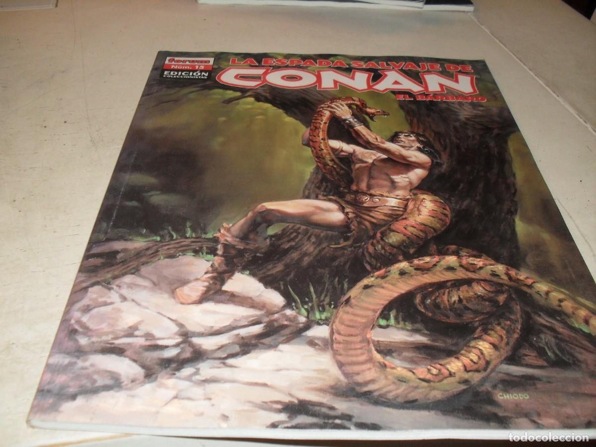 C&oacute;mics: LA ESPADA SALVAJE DE CONAN N&ordm; 15,EL DIOS CAMBIANTE,EDICION COLECCIONISTAS.FORUM,2005