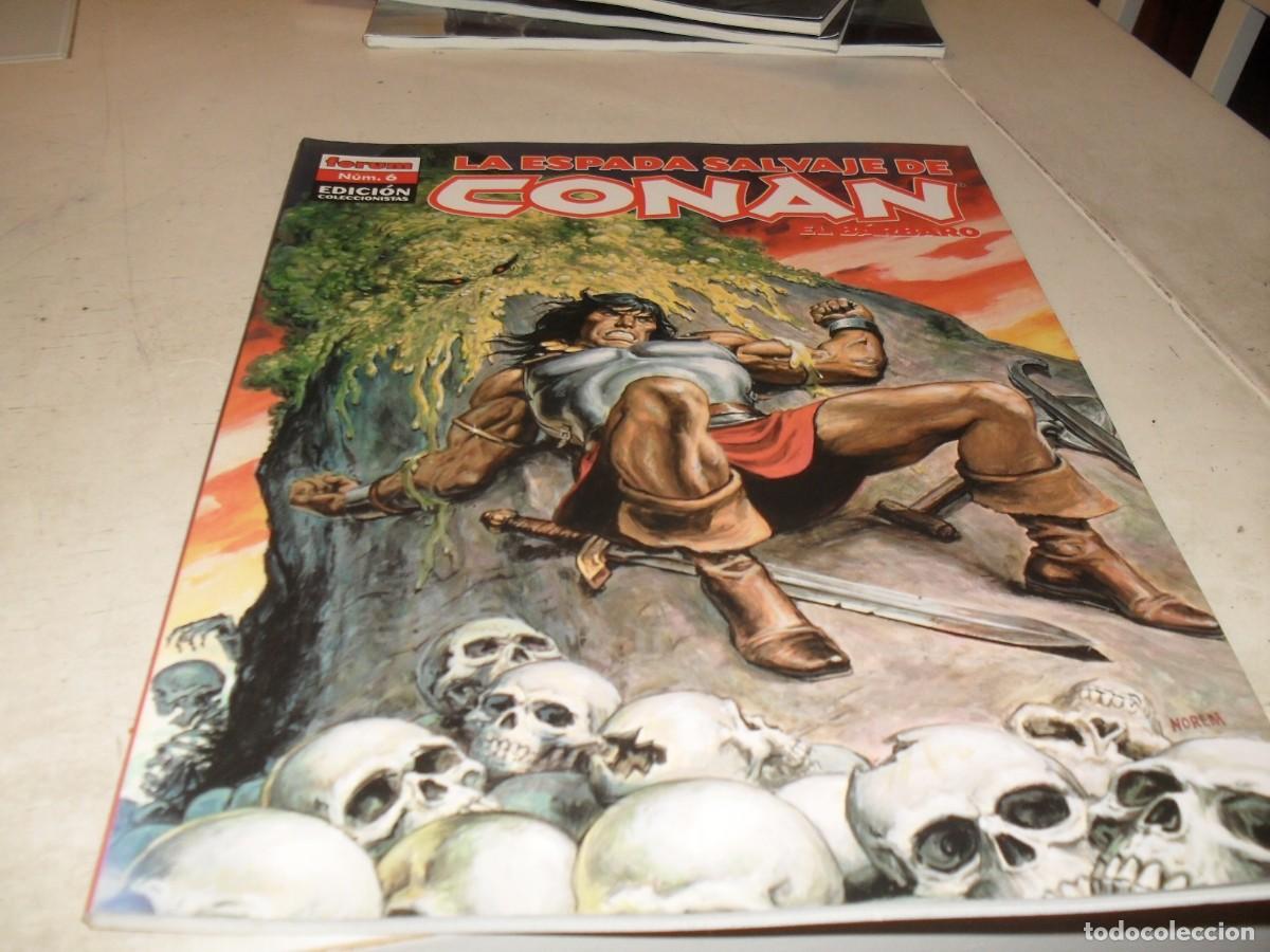 Comics: LA ESPADA SALVAJE DE CONAN N&ordm; 6,LA MALDICION DEL MONOLITO,EDICION COLECCIONISTAS.FORUM,2005