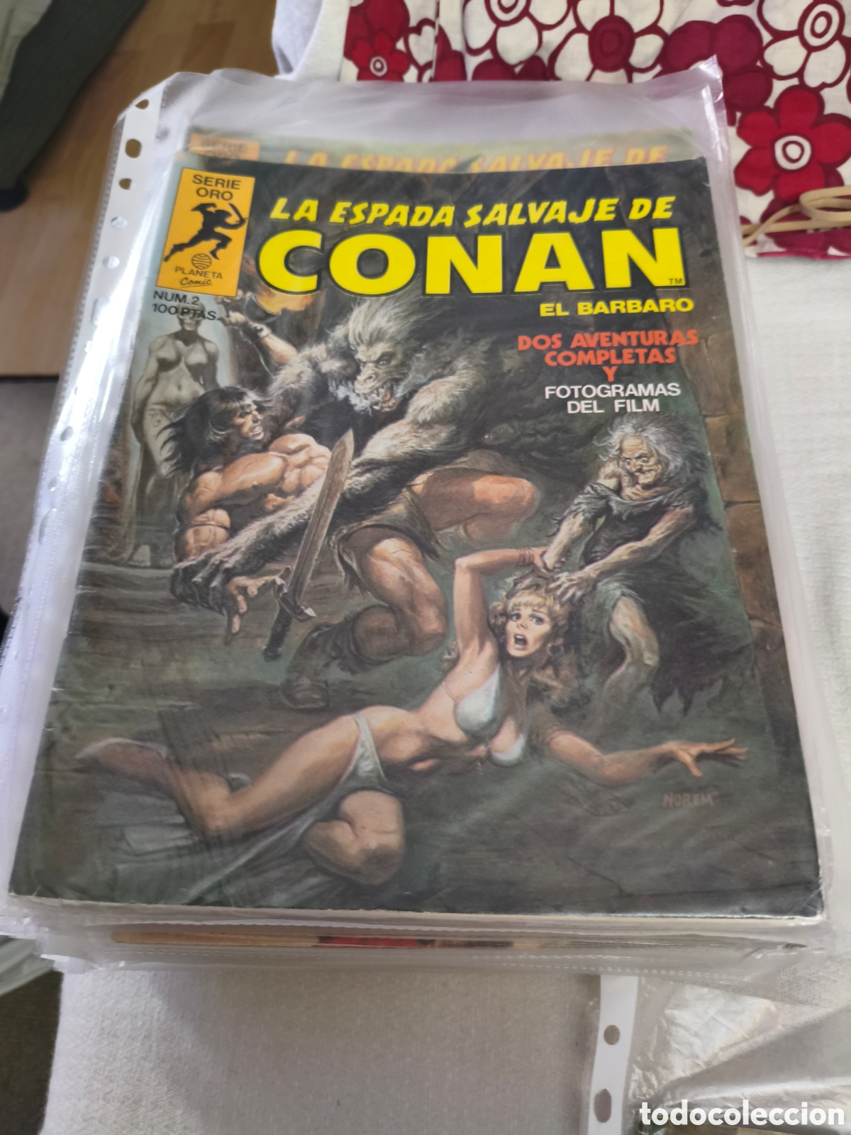 C&oacute;mics: LA ESPADA SALVAJE DE CONAN - Foto 3