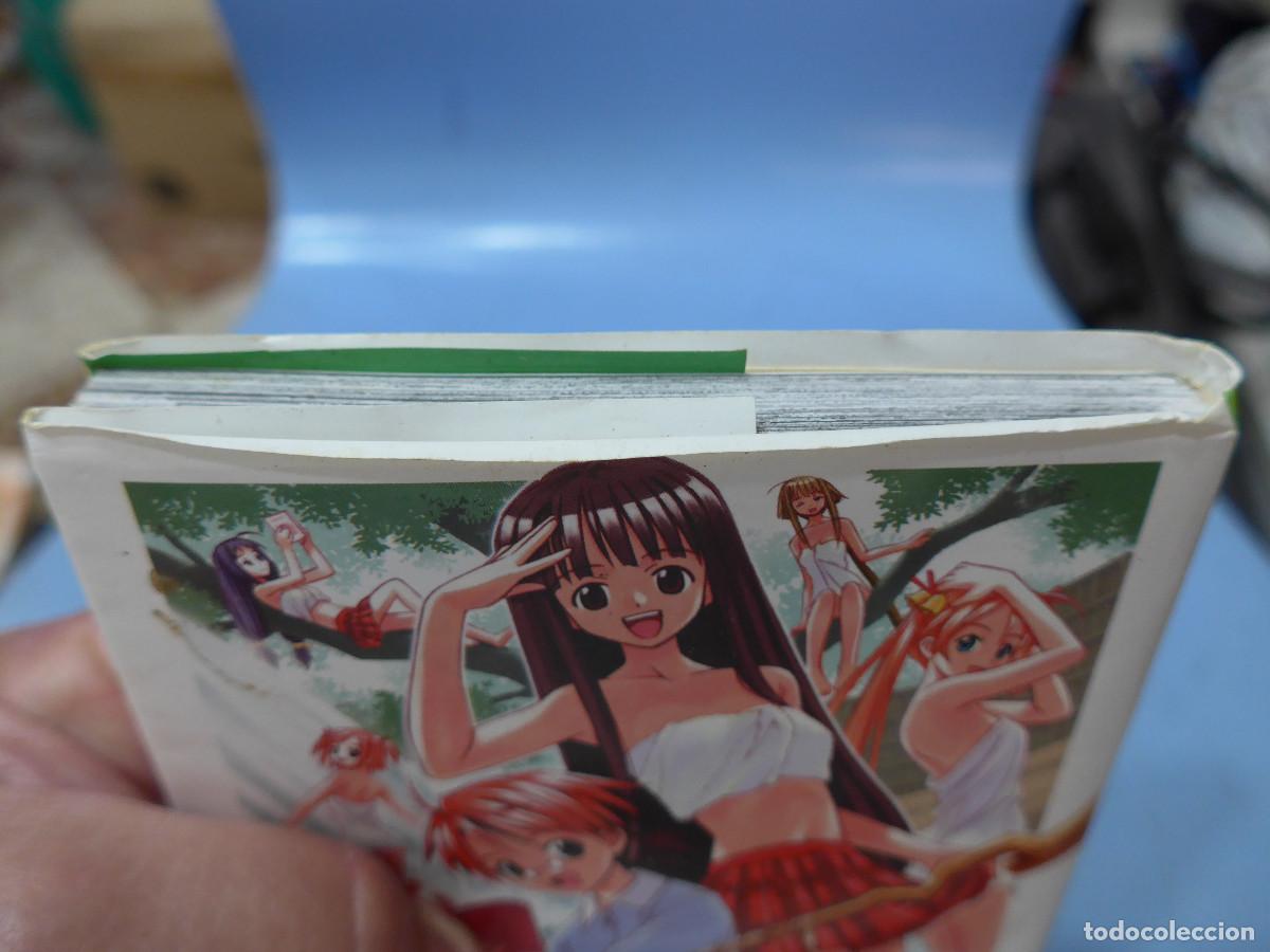 C&oacute;mics: NEGIMA N&ordm; 2 - KEN AKAMATSU - GLENAT - Foto 7