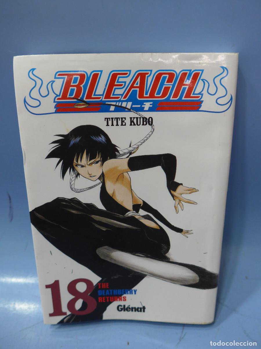 BLEACH Manga Volume 18