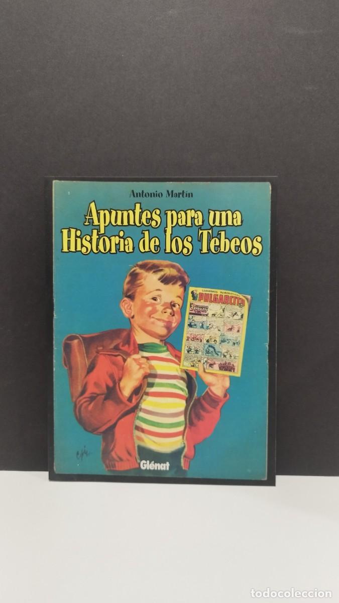 C&oacute;mics: APUNTES PARA UNA HISTORIA DE LOS TEBEOS