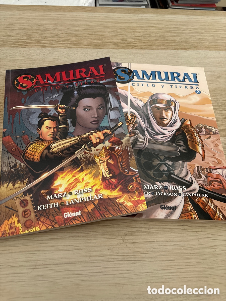 C&oacute;mics: Samurai cielo y tierra